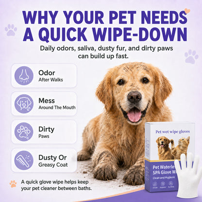 Pet Cleaning Gloves