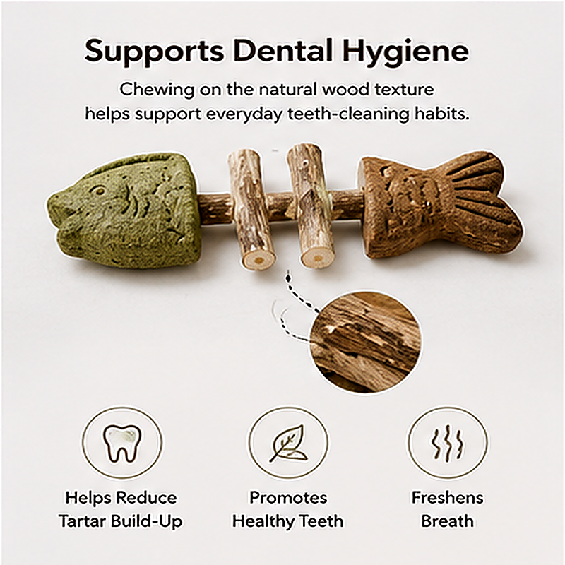 Cat toy supports dental hygiene and teeth cleaning habits